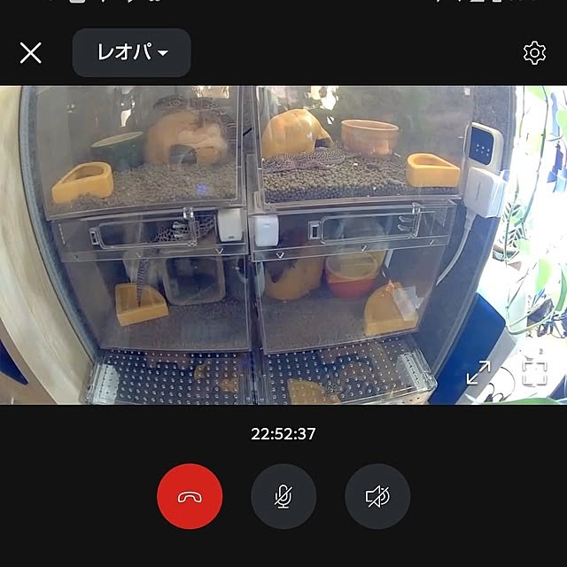 qolongislandさんの部屋