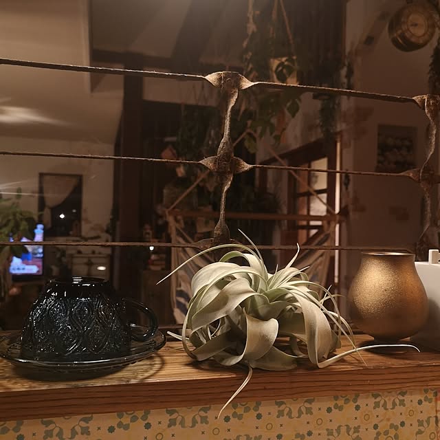 akiさんの実例写真