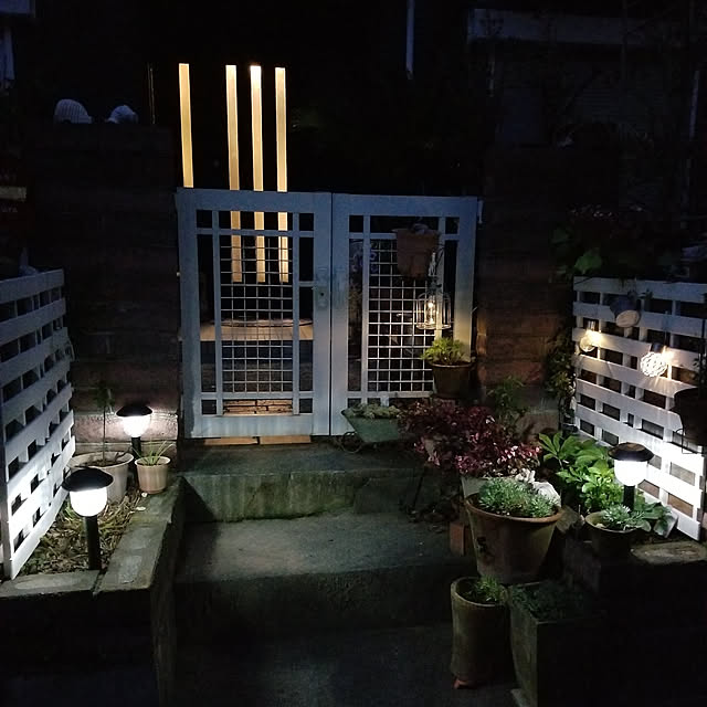 midoriさんの実例写真