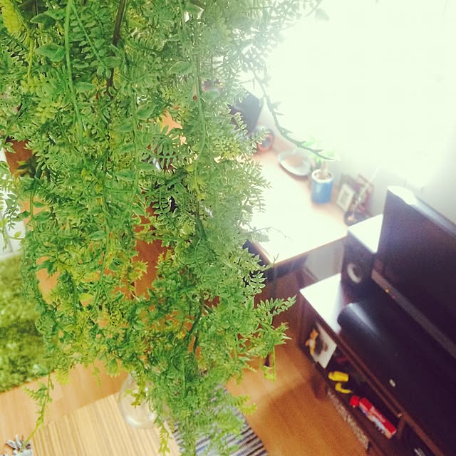 kiyorinpaさんの実例写真