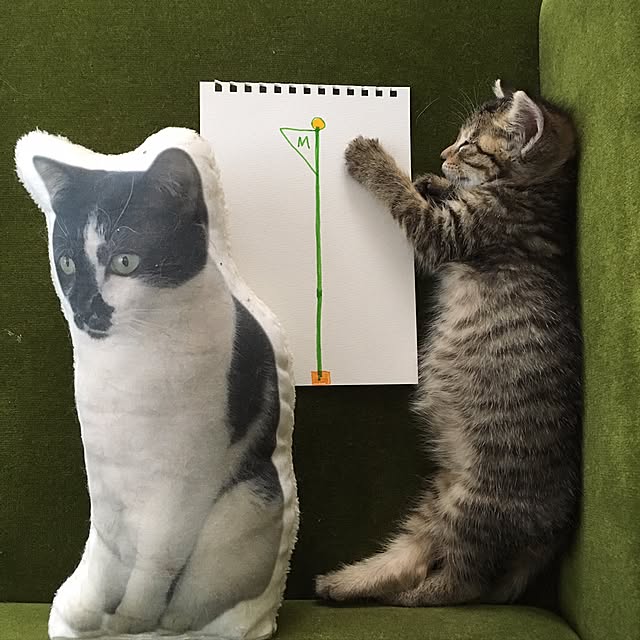 mikomaruさんの実例写真