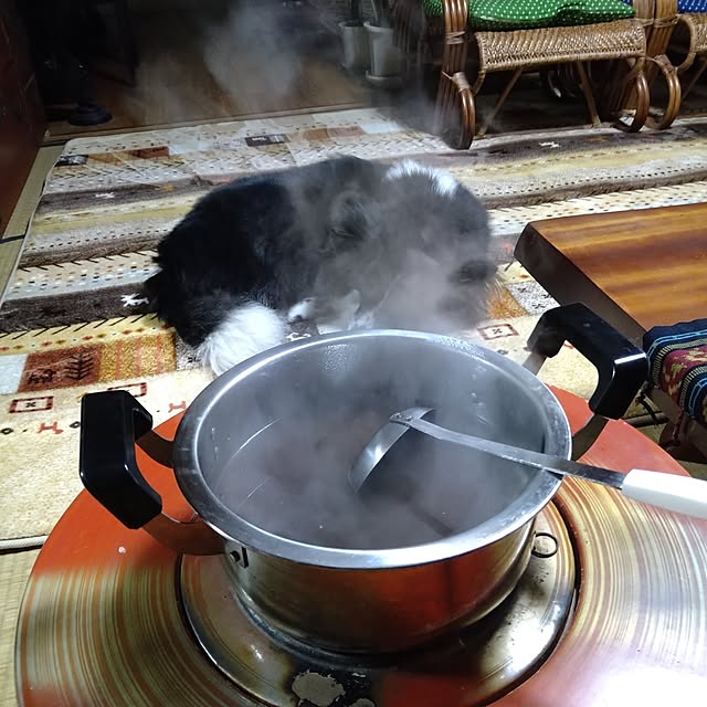 nacoさんの実例写真