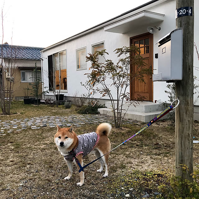 blanchomeさんの実例写真