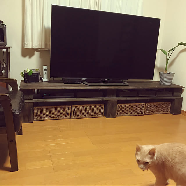mikan161さんの実例写真