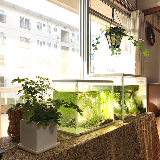 HINAさんの実例写真