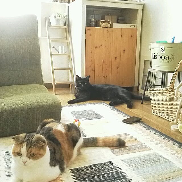 mikiさんの実例写真