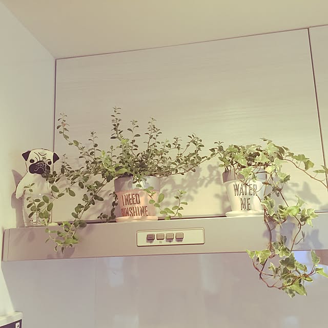 komaさんの実例写真
