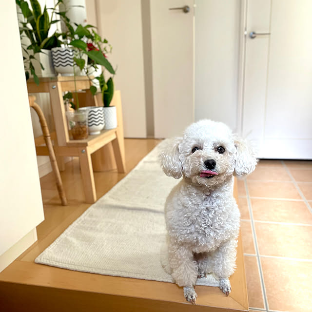 ma...さんの部屋