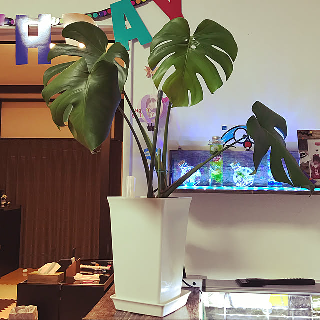 Satoshiさんの実例写真