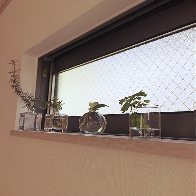 壁/天井/100均/観葉植物/ハンドメイド/DIY...などのインテリア実例 - 2018-12-31 21:30:46
