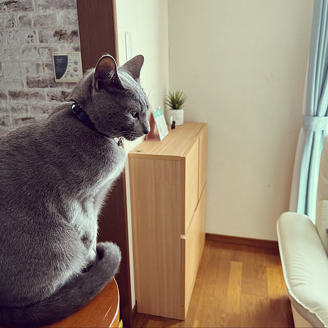 kyonさんの実例写真