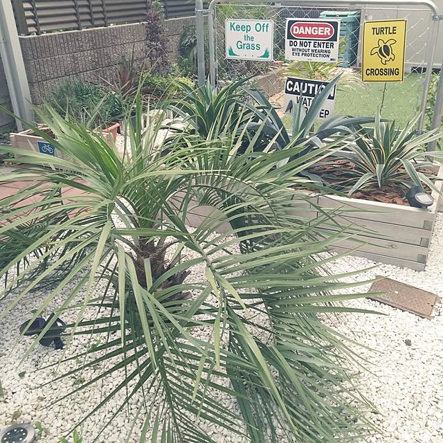 NAOKIさんの実例写真