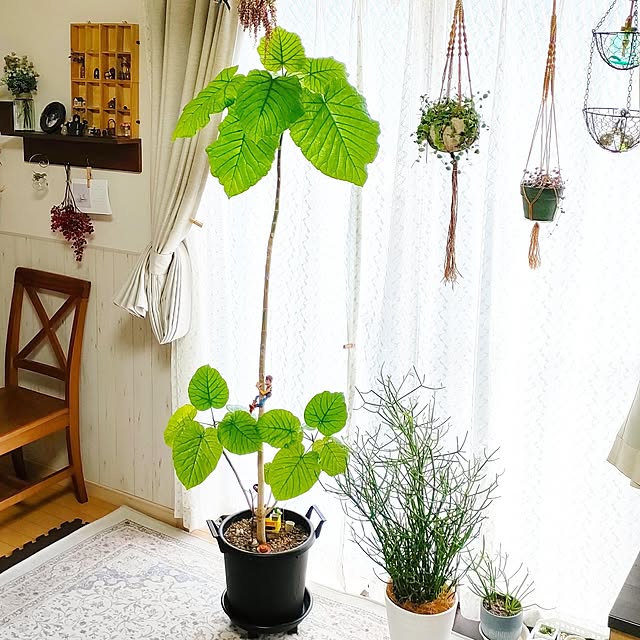 teamoさんの部屋