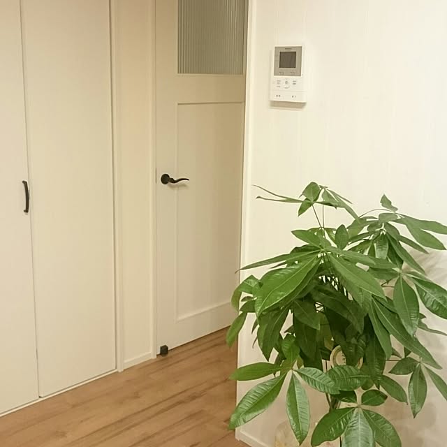 kaboさんの実例写真