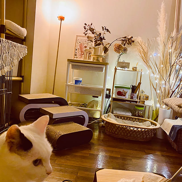 YUKAさんの実例写真