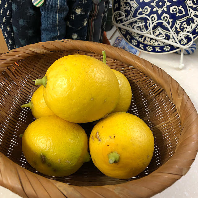 shijukaracolonさんの実例写真