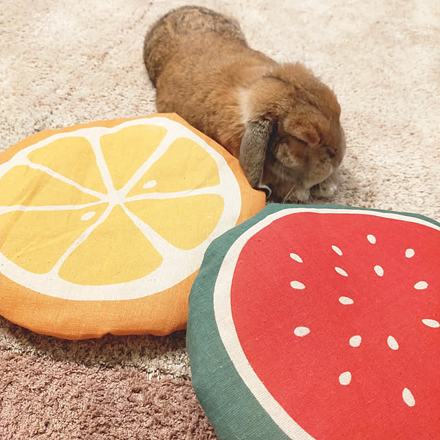 suzuさんの実例写真