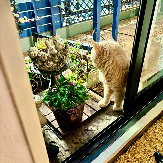 naokoさんの部屋