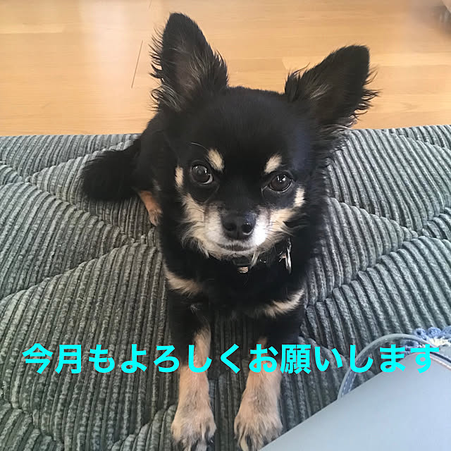 sakuさんの実例写真