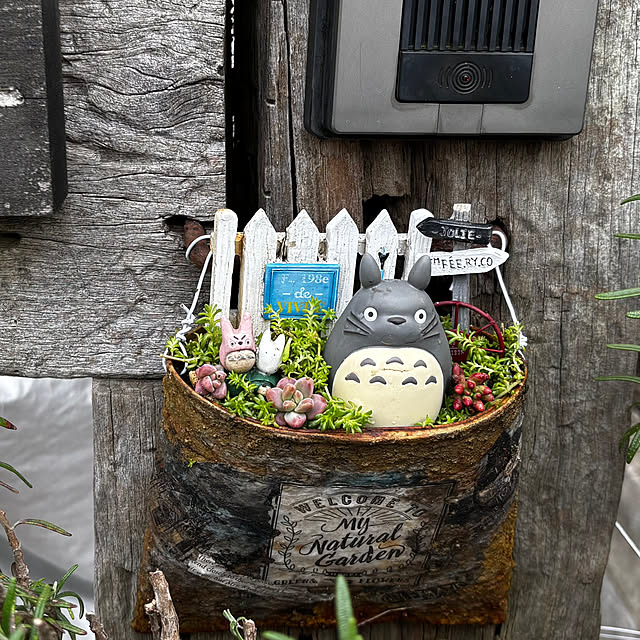 nokkoさんの実例写真