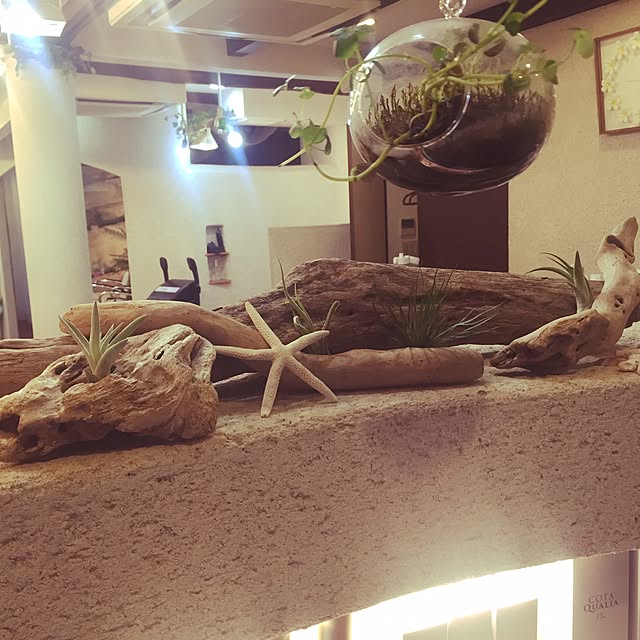 saffyさんの実例写真