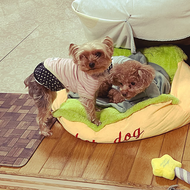 Patricia_Bennettさんの実例写真