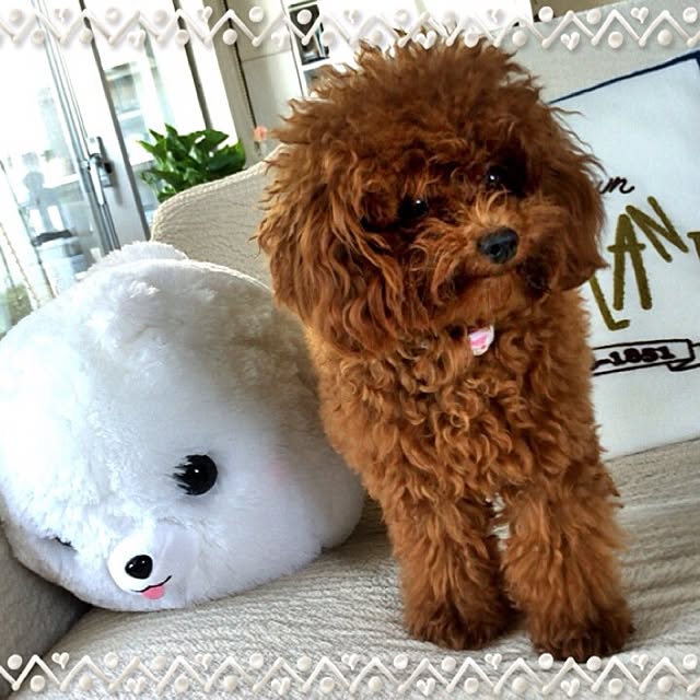 ISM.mumさんの実例写真