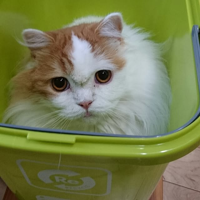 1ldksさんの実例写真