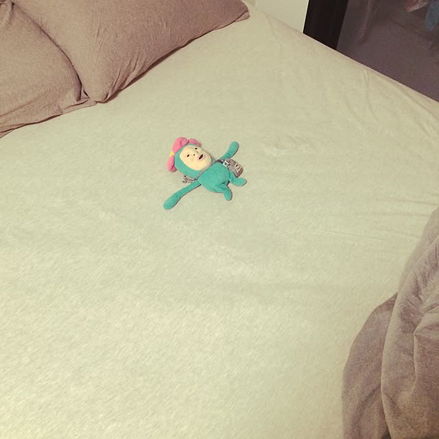 acchiさんの実例写真