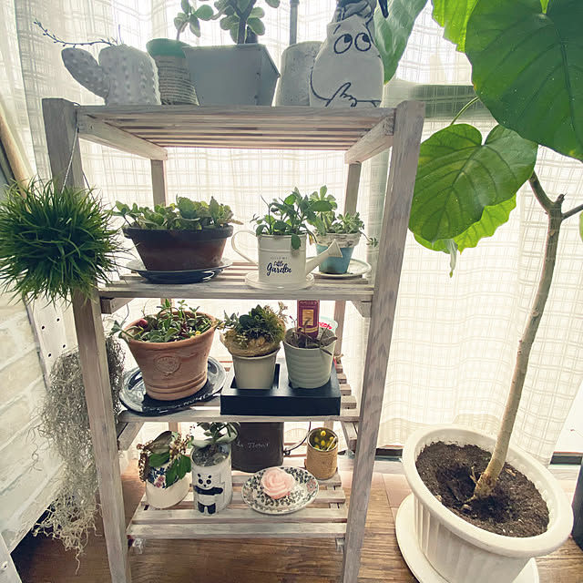 mamiさんの実例写真