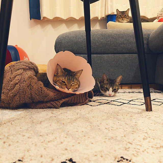 mochicoさんの実例写真