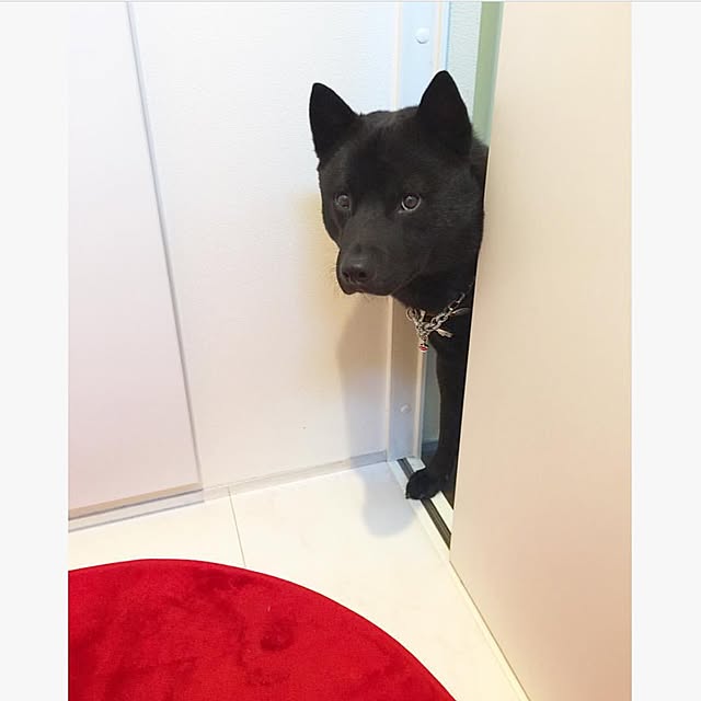 rikorikoさんの実例写真