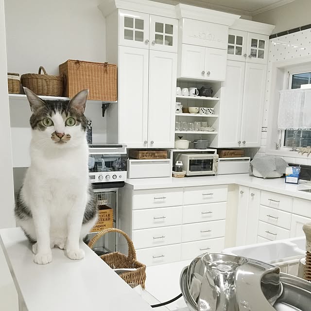 yuchiさんの実例写真