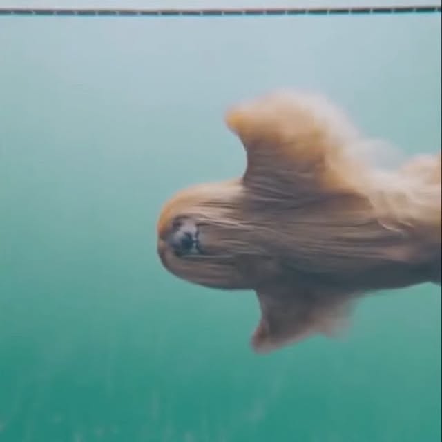 Tackunさんの実例写真