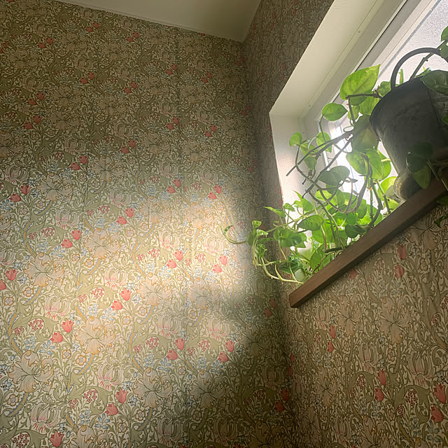 marukoさんの実例写真