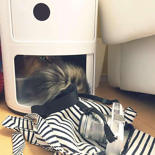 wolf_____21さんの実例写真