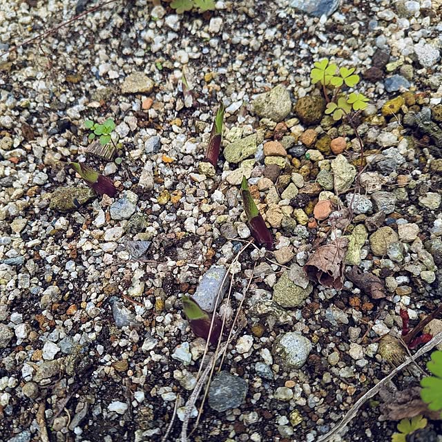 Bienvenueさんの部屋