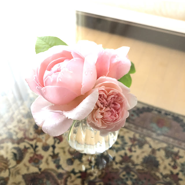 karikuruさんの実例写真