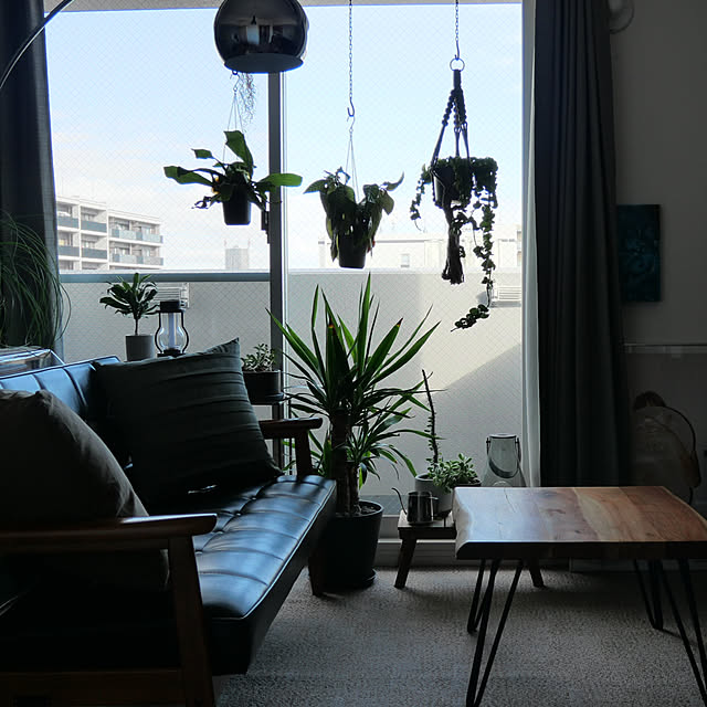 部屋全体/観葉植物/一人暮らしのインテリア実例 - 2025-02-27 07:32:47