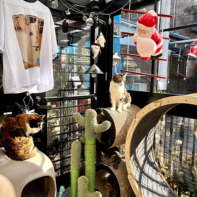 butachanさんの実例写真