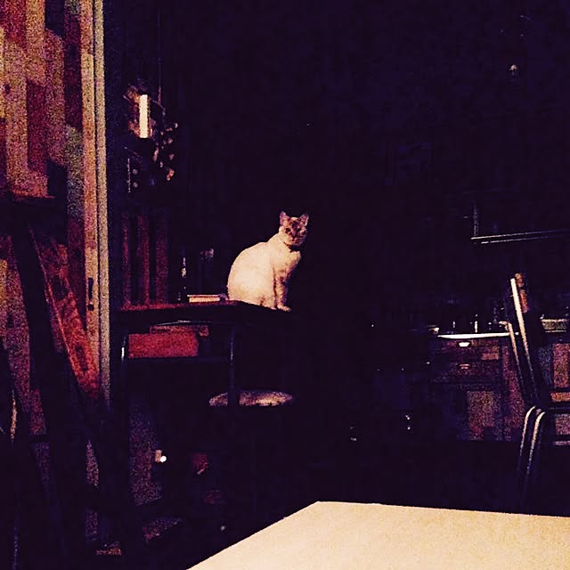 Naoki.さんの実例写真