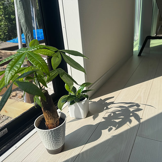 h.sさんの実例写真