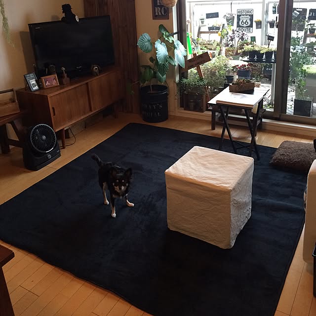 riechocoさんの実例写真