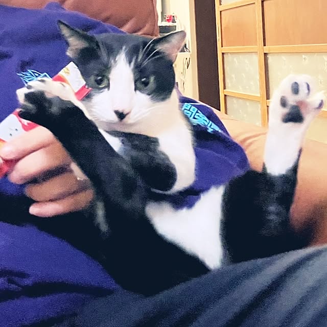 oseroさんの実例写真