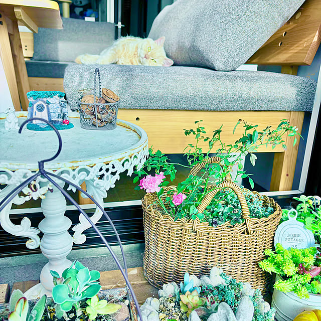 naokoさんの実例写真