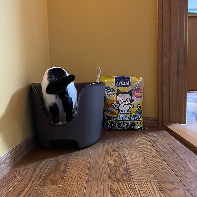 nobikoさんの部屋