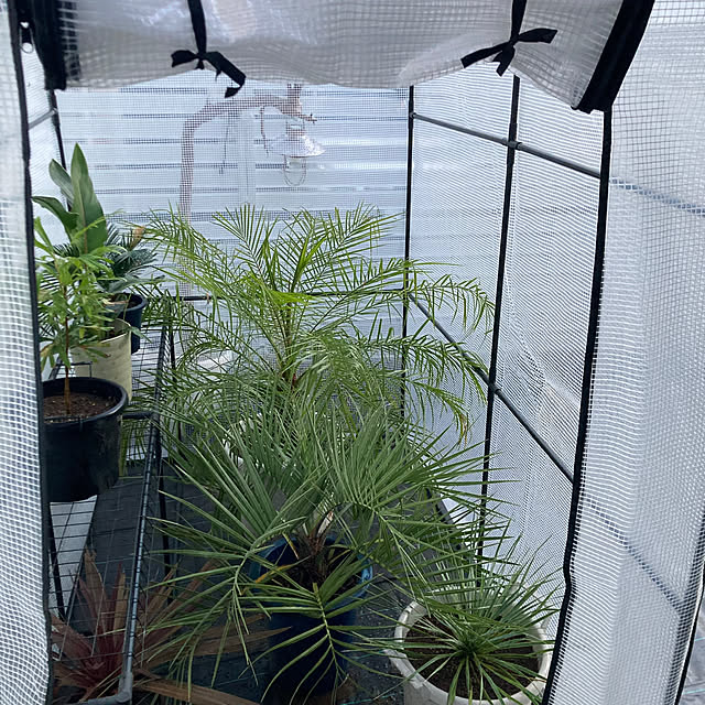 onokenkoさんの部屋