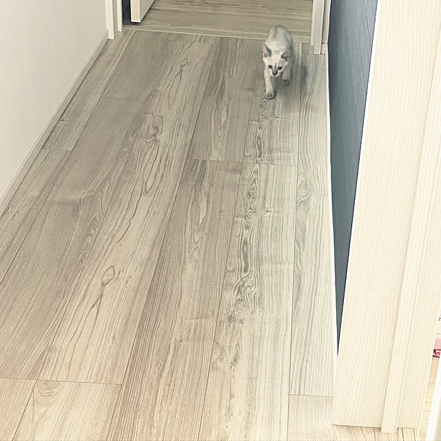gingerwynksさんの実例写真