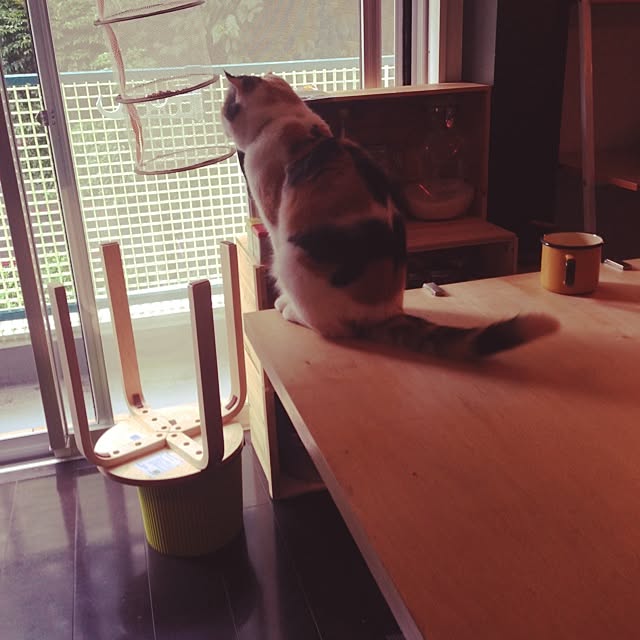 takeruTKさんの実例写真