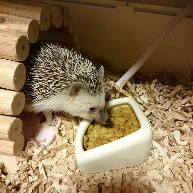 megmeg1450さんの実例写真